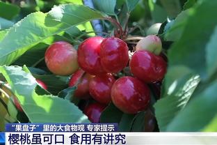 18新利app苹果版下载